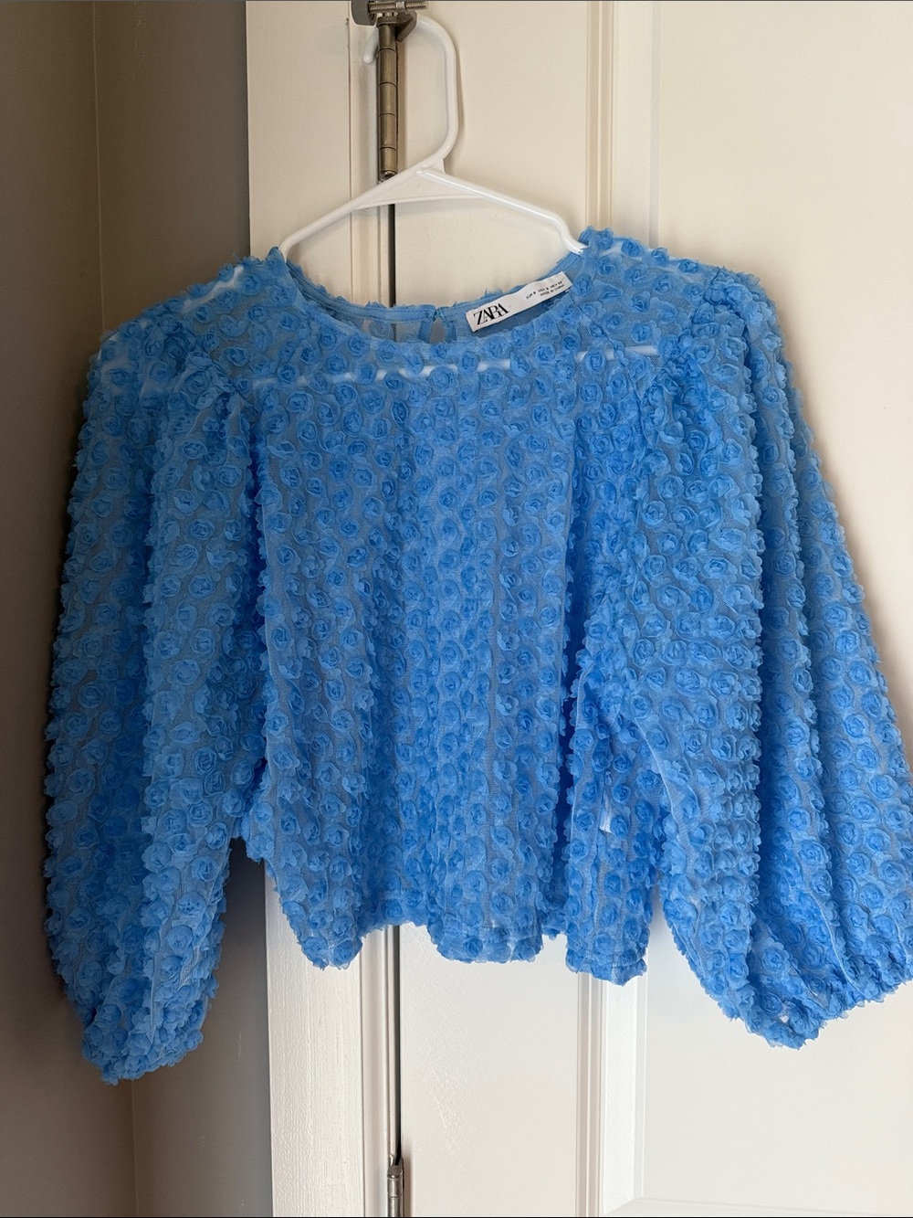 Zara Light Blue Textured Rosette Puff-Sleeve Top